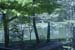 view from deck spring10